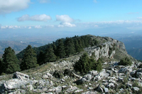 Destacan las posibilidades socioeconómicas del área de influencia de la Sierra de las Nieves tras su declaración como Parque Nacional