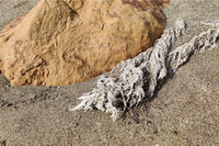 Un estudio para transformar los residuos de toallitas de las playas en carbón activo, primer premio 'Mares Circulares'