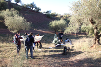 Salida 22/02/22 a Almogía (Cruce Camino de Los Verdiales)