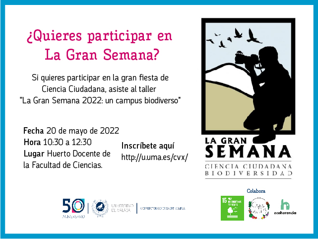 noticia1
