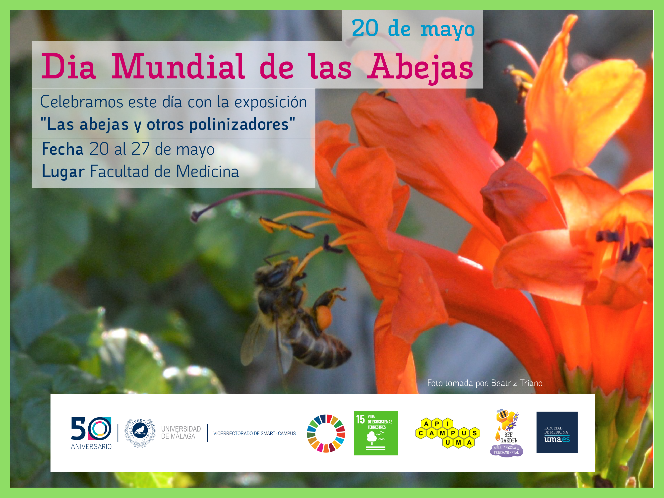 noticia1