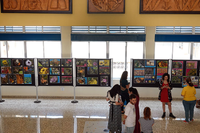 La Facultad de Medicina acoge la exposición 'Las abejas y otros polinizadores'