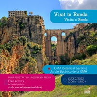 17 DEC | VISIT TO RONDA