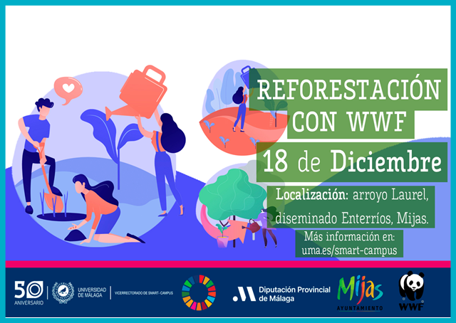 noticia1