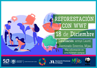 Reforestación con la UMA: plantando los bosques del futuro [ODS]