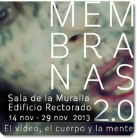 EXPOSICIÓN MEMBRANA 2.0. El video, el cuerpo y la mente