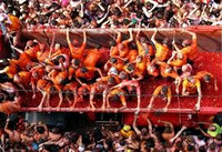 Tomatina - texto