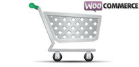 TALLER "USABILIDAD Y CREACIÓN DE TEMAS PARA WOOCOMMERCE"  EN EL MÁSTER DE DIRECCIÓN Y GESTIÓN DE MARKETING DIGITAL 