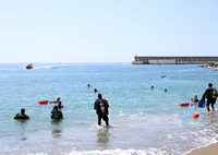 Extraen 30 kilos de residuos marinos en la playa de la Malagueta