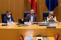 El profesor de la UMA, Mariano Soler, expone en el Congreso los resultados del Proyecto' Track-In'