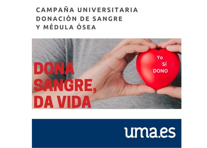 noticia1
