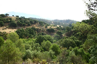 Expertos debaten sobre la propuesta de catalogar a la Sierra Mijas-Alpujata como parque natural
