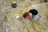 Paleontólogos de la UMA participan en la investigación de un nuevo yacimiento de hace casi un millón de años