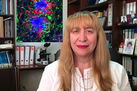 La catedrática de Biología Celular Antonia Gutiérrez, nueva presidenta de la Sociedad Española de Neurociencia