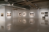 Exposición Bellas Artes