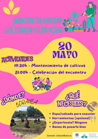 Mantenimiento Ecoaula