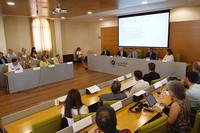 Presentación del protocolo de actuación