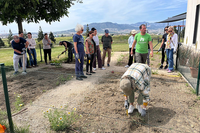 Taller formativo del huerto urbano