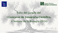 I_Concurso_fotografia