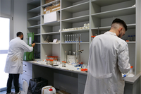 Dos jóvenes investigadores trabajan en un laboratorio de la UMA