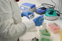 La UMA, tercera universidad andaluza en grupos de investigacion