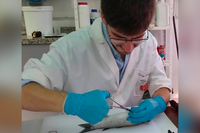 El científico  Jorge García  trabaja actualmente en el proyecto de I+D del Plan Nacional ALFIL de la UMA