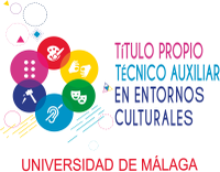 Titulo Propio Técnico Auxiliar en Entornos Culturales