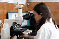 Liderado por el grupo de I+D de la UMA ‘IREM’, esta investigación surge en el contexto de la tesis doctoral de Marina Ponce