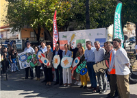 Opportunity3 Opportunity3