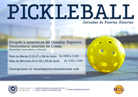 pickleball 2