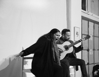 el cante de araña