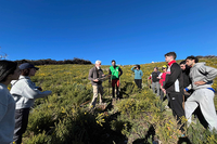 Actividad reforestación