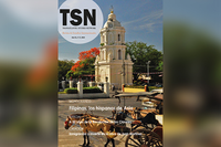 TSN 17