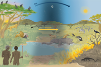 Factores que influyen en el comportamiento de carroñeo en los humanos. Ilustración: Carmen Cañizares (@canitanatura)