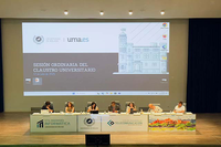 Claustro Universitario de 17 de julio