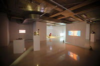 Exposición Bellas Artes