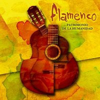 flamenco 1