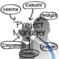 Project Manager