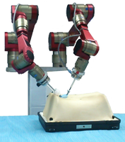cisobot