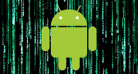 Programador