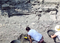 Foto Curso Arqueología Torreparedones