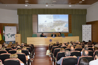 Curso "La ciudad como arquetipo. Literatura, historia y arte. Europa y América"