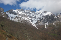 Picos de Europa