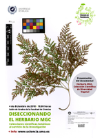 cartel presentación documental herbario