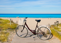 Bici