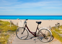 Bici