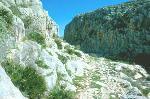 Cueva de las Palomas 