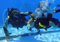 Una actividad de buceo celebrada en la piscina del Pabellón de Deportes