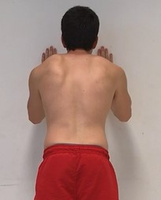 Wall push up test