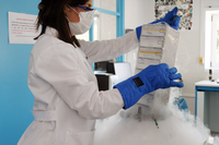 Una investigadora trabajando en un laboratorio del SCAI